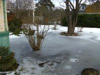 IMG_0046-1.jpg