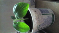 20160314_184849.jpg