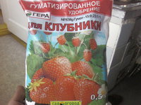 SP_A0208.jpg