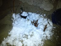 20160130_1233083.jpg