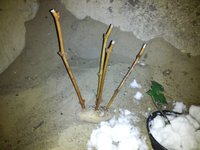 20160130_1233236.jpg