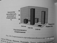 DSCN6974.jpg