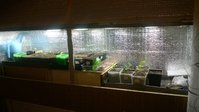 WP_20160319_002.jpg