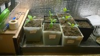 WP_20160319_003.jpg