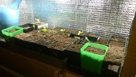 WP_20160319_005.jpg