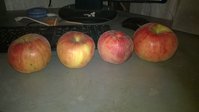 WP_20160321_001.jpg