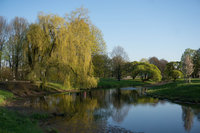 DSC05722-1.jpg