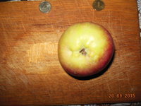 DSCN1042.JPG