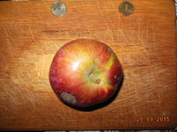 DSCN1040.JPG