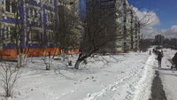 P_20160320_121956.jpg