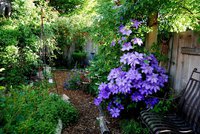 DSC_0593FB.jpg
