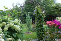 IMG_3234копирование.jpg