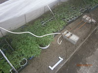 P3310004.JPG