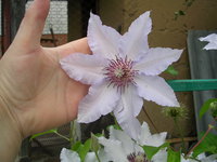 DSCN3730.JPG