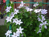 DSCN3740.JPG