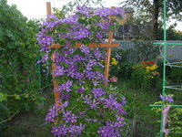 DSCN3771.JPG