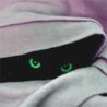 6233062.gif