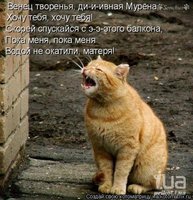 277dbba383c8.jpg