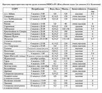Кузнецов новая.jpg
