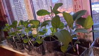 IMG_20160406_232429.jpg