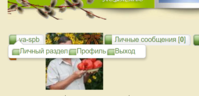 хром.png