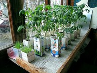 Изображение 025.jpg