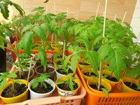 DSCN0340.JPG