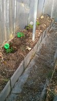 WP_20160410_006.jpg