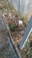 WP_20160410_007.jpg