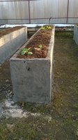 WP_20160410_003.jpg