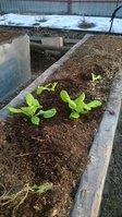 WP_20160410_008.jpg
