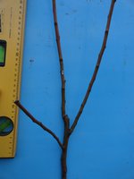 DSC04846-03.jpg