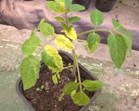 WP_20160413_12_54_49_Pro.jpg
