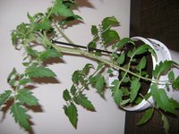 DSC05286.JPG