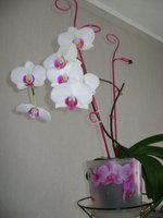 DSC05295.JPG