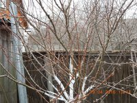 DSCN4481.JPG