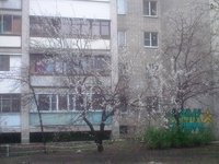 Изображение 009.jpg
