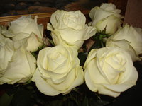 DSC01683.JPG