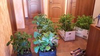 IMG_20160424_102917.jpg