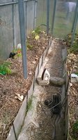 WP_20160424_001.jpg