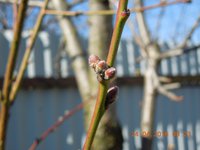 DSCN4501.JPG