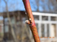DSCN4504.JPG