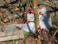 DSCN4506.JPG