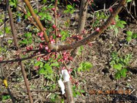 DSCN4507.JPG
