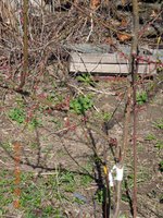 DSCN4508.JPG