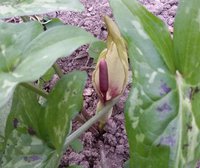 20160418_183554_cr.jpg