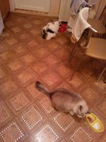 2015-12-04 17-11-14.JPG