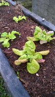 WP_20160426_007.jpg