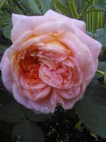 2015-06-27 20-43-09.JPG