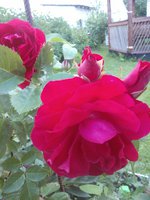 2015-06-19 20-07-20.JPG